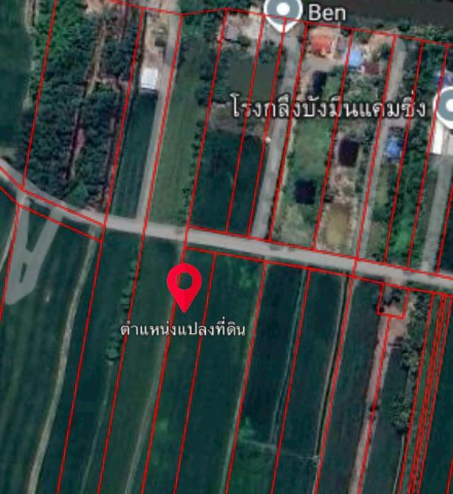 ขายด่วน! ที่ดินบางน้ำเปรี้ยว 15 ไร่ 1 งาน 34 ตารางวา ติดถนนลาดยางสาธารณะ ทำเลทอง ราคาถูกที่สุดในย่านนี้ รูปที่ 9