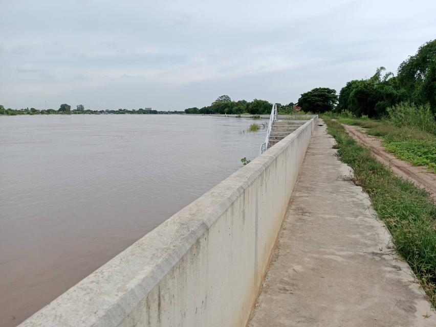 ที่ดินจังหวัดสิงห์บุรี ติดเเม่น้ำเจ้าพระยา 5