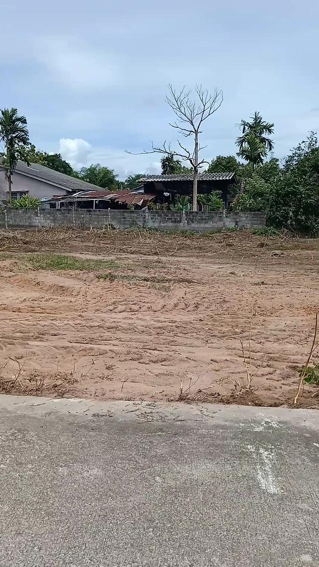 ที่ดินเเปลงสวยเขามะกอก13 พัทยา 5