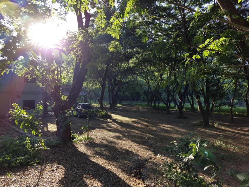 ขายบ้านและที่ดินติดริมน้ำที่ดิน 6 ไร่บวกที่ดินทำการเกษตรอีก 16 ไร่ 5