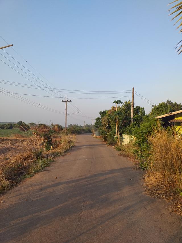 ขายที่ดินว่างเปล่า 2 ไร่ 2