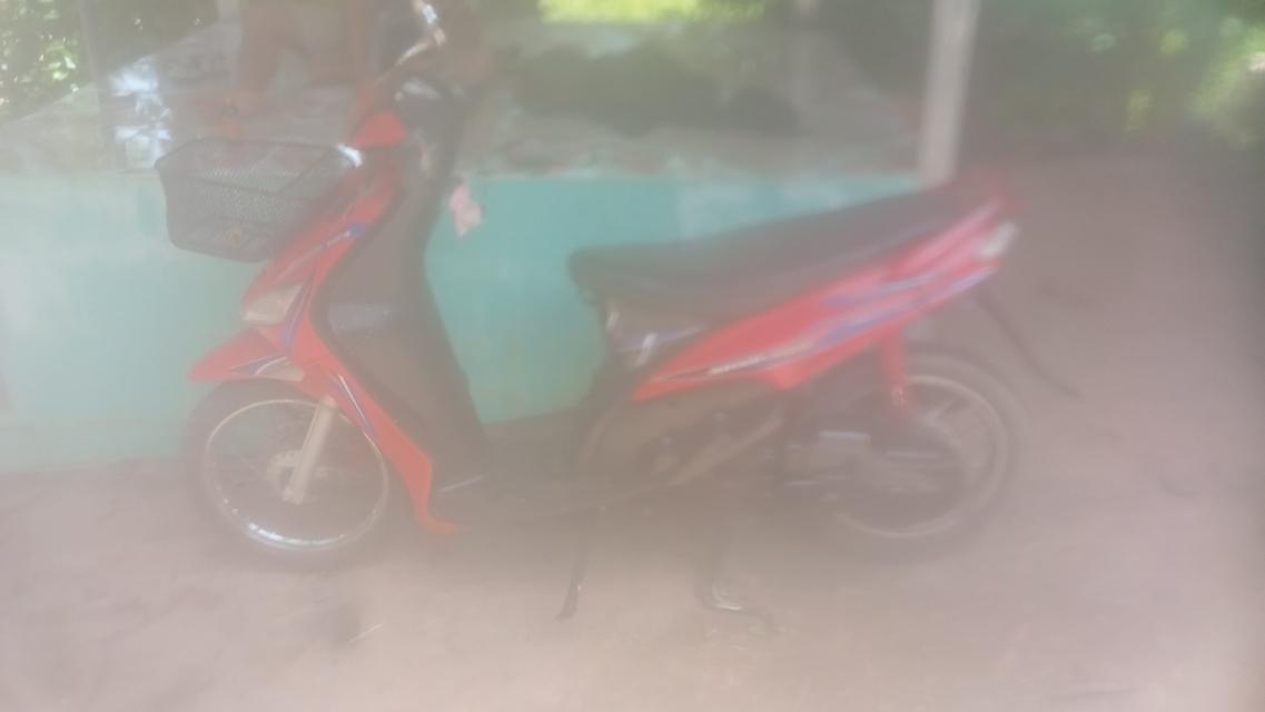 มีโอ115 4