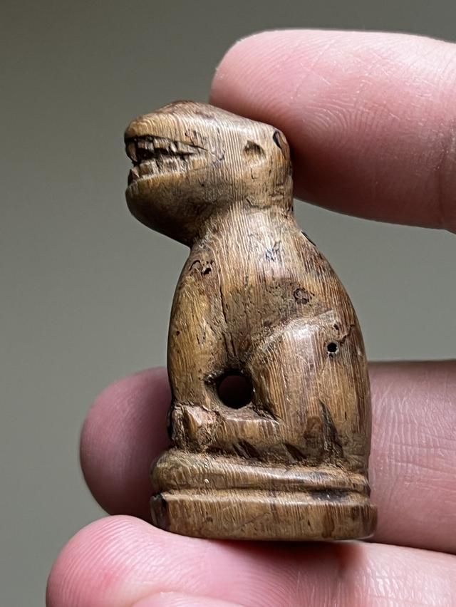 เสือไม้แกะเก่า  ก้นอุดคลั่ง