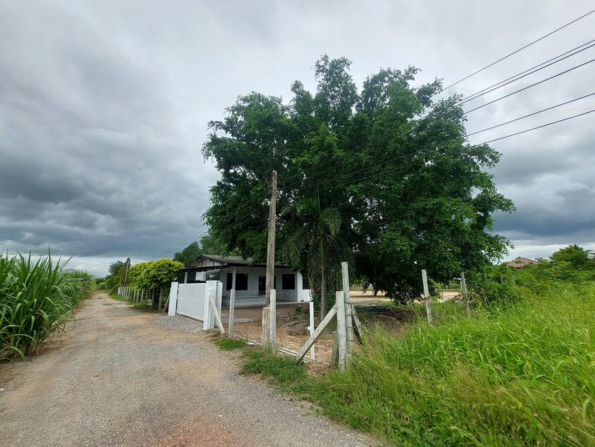 บ้านพร้อมที่ดินแปลงสวย 625ตรว.ต.วังขนาย อ.ท่าม่วง จ.กาญจนบุรี ห่างตลาดท่าม่วงเพียง10นาที 4