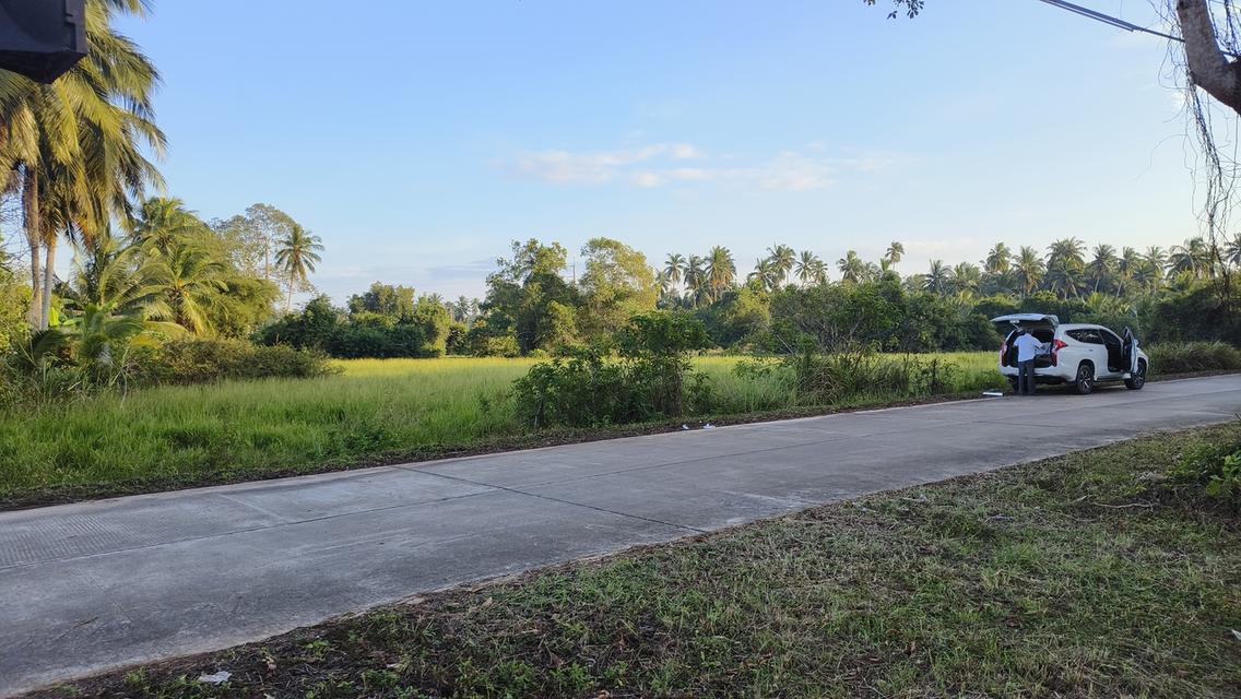 ขายด่วน ที่ดินติดถนนทางหลวงใกล้สี่แยกโจ่ย อ.บางสะพานน้อย 6