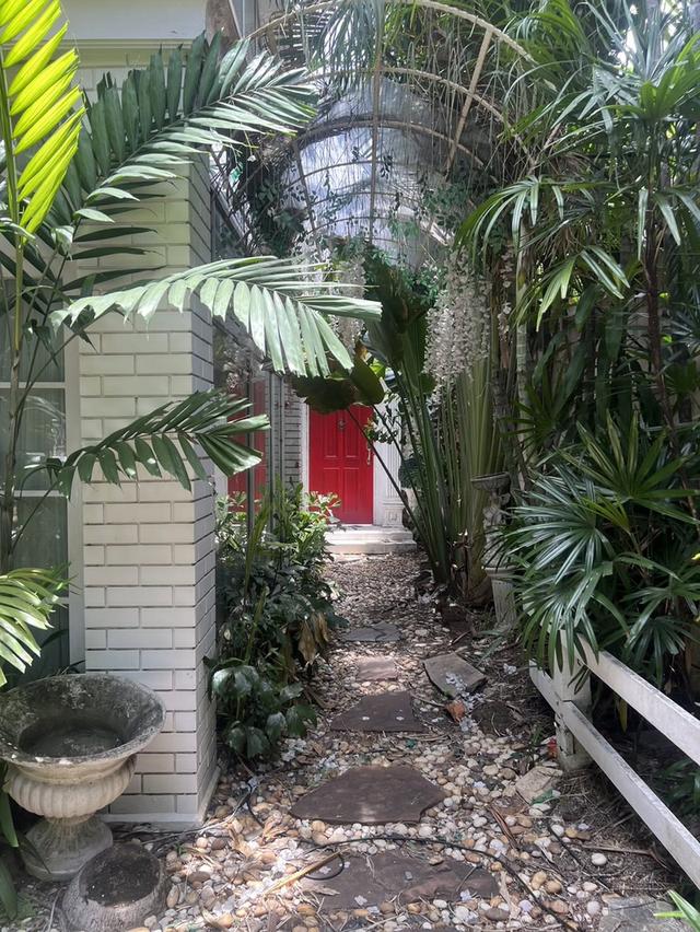 U1477 ให้เช่าบ้านสวน ใจกลางสุขุมวิท 101 FOR RENT RARE GARDEN SPACE IN SUKHUMVIT An Extraordinary Glasshouse Garden Space in Sukhumvit 101 20