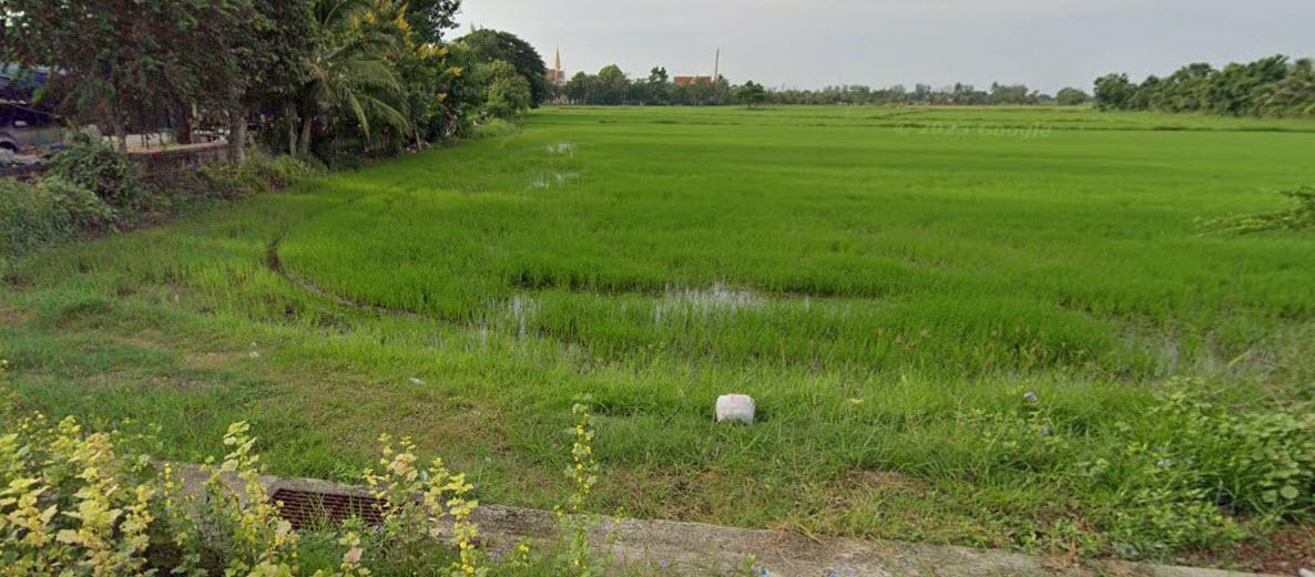 ขายที่ดิน 66 ไร่ ถนนบ้านดอนนาลุ่ม ตำบลหนองขนาน อำเภอเมืองเพชรบุรี จังหวัดเพชรบุรี 4