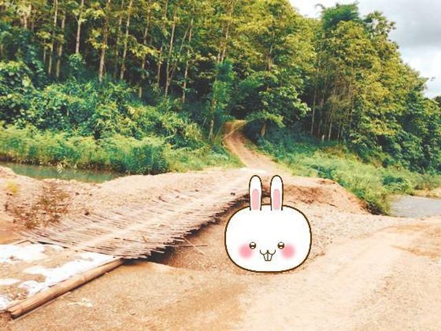 ทำเลเงื่อนไขซื้อขายสิ่งสำคัญ ขายที่ดินติดลำธารน้ำใสไหลริน ชุ่มฉ่ำตลอดปี สวยวิวล้าน 800000บาท 3-0-35ไร่ อำเภอสันติสุข น่า