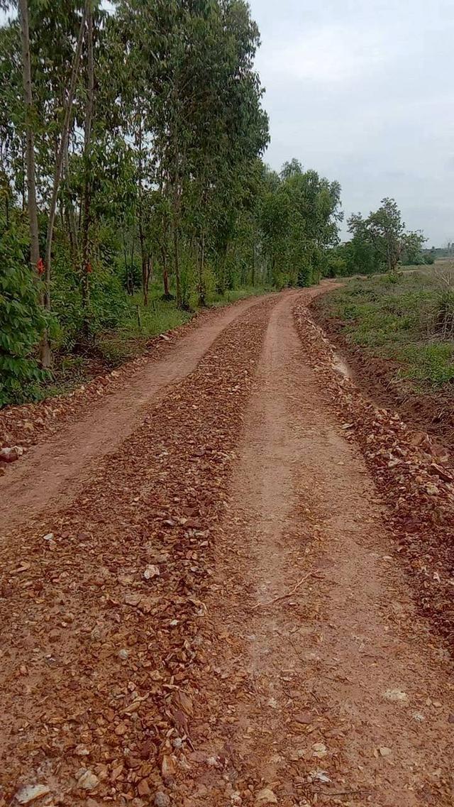 ที่ดินเปล่าถมแล้ว เนื้อที่ 10 ไร่ 1 งาน 14 ตร.ว. ถนนพหลโยธิน ต.ลานดอกไม้ตก อ.โกสัมพีนคร จ.กำแพงเพชร 2