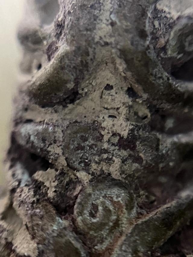 ปิดตายันยุ่ง หลวงปู่เอี่ยม หลวงพ่อทับ 12