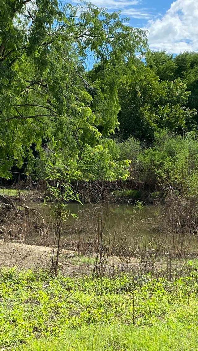 ขายที่ดินเปล่า ทำเลดี  ต.หนองกุ่ม อ.บ่อพลอย จ.กาญจนบุรี 5