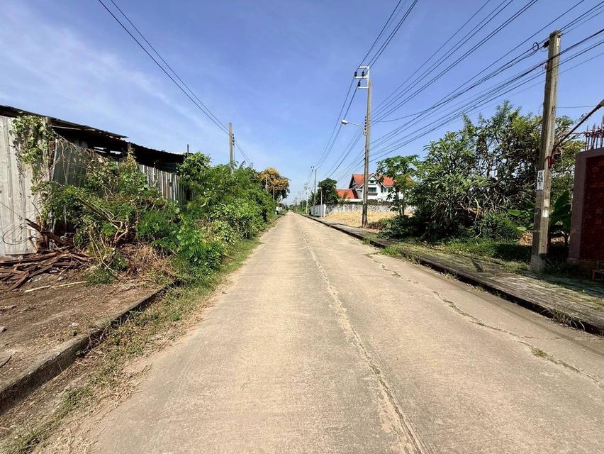 Vายถูกที่ดินบางแวก 75 ตารางวา ติดถนนคอนกรีตสาธารณะ ถมแล้ว 4