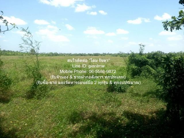 บ้าน ขายบ้าน 2 ชั้น พร้อมที่ดินทุ่งนา อ.นครชัยศรี นครปฐม 11-3-13 ไร่ ราคา 23,565,000 บาท 4 ห้องนอน 4713 ตารางวา 23565000 7