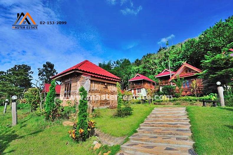 รีสอร์ทสวยบนเขาค้อ จ.เพชรบูรณ์ เนื้อที่ 4 ไร่ 2 งาน ในขุนเขากลางทะเลหมอก ขายพร้อมอุปกรณ์รีสอร์ท ดำเนินกิจการต่อได้ทันที 1