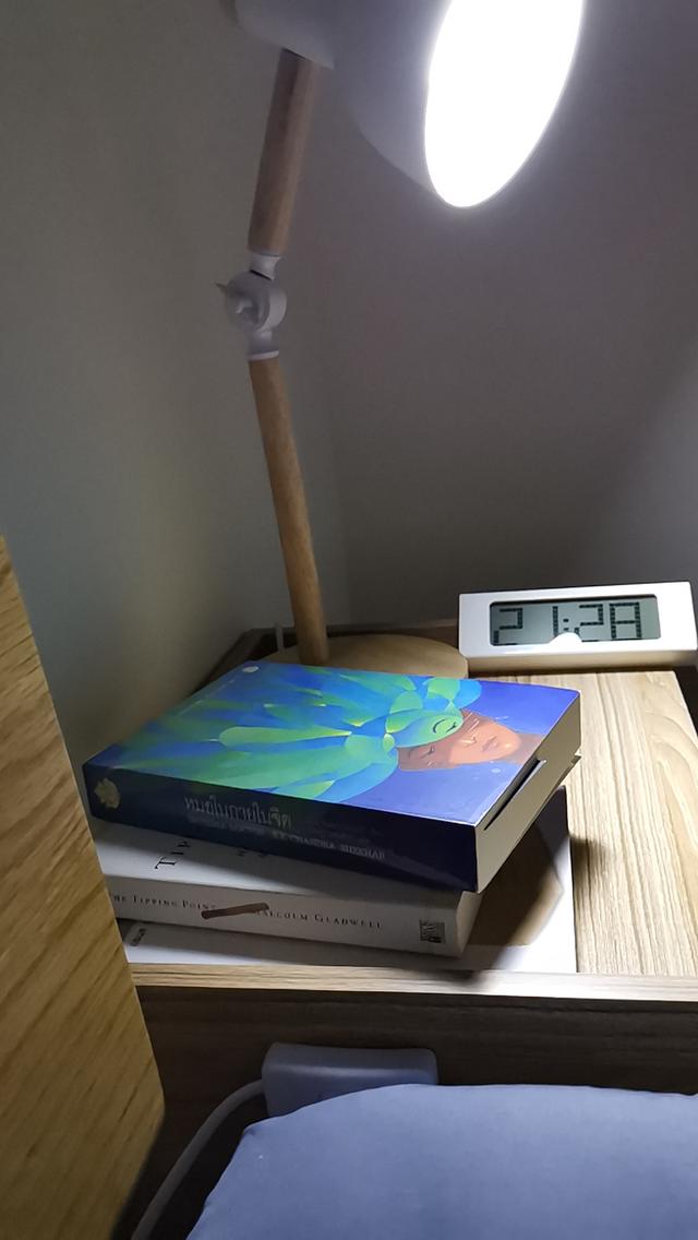 บ้านเดี่ยวหมู่บ้านเดอะเลควิว ทำเลดีใกล้ทะเลสาบ 5