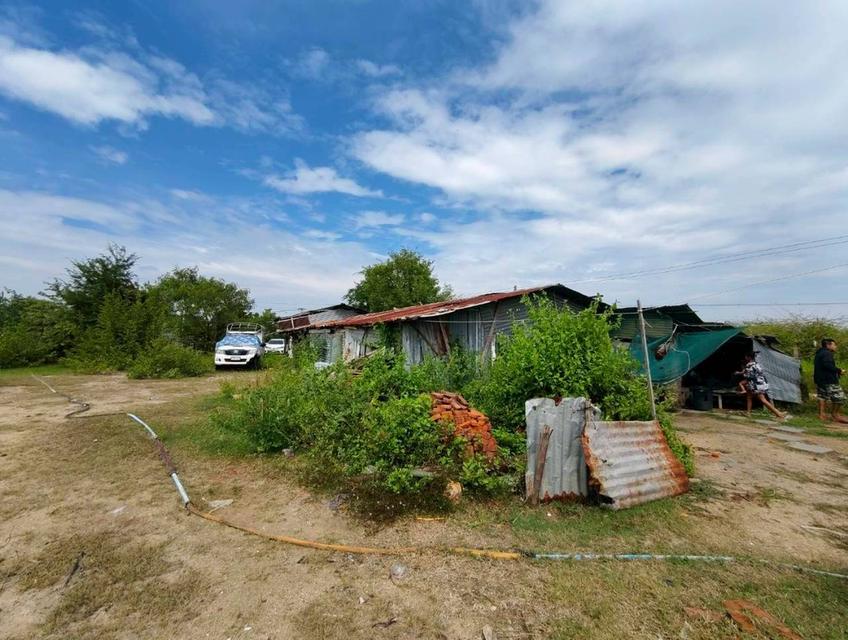 ที่ดินเปล่า 12 ไร่ อ.ชะอำ 7