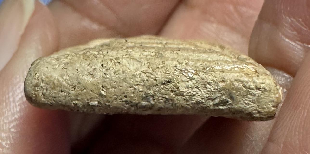 พระสมเด็จ พิมพ์ใหญ่ เนื้อสวย 8