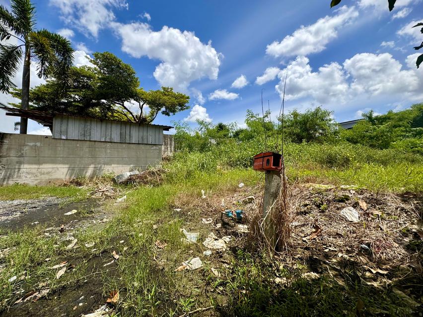 ขายที่ดินซอยลาดกระบัง3 ขนาด 371 ตร.วา (ถนนประชาทร) วิวลำธาร (N.1380) 8