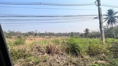 ที่ดินติดถนนเชียงใหม่-เชียงดาว 4