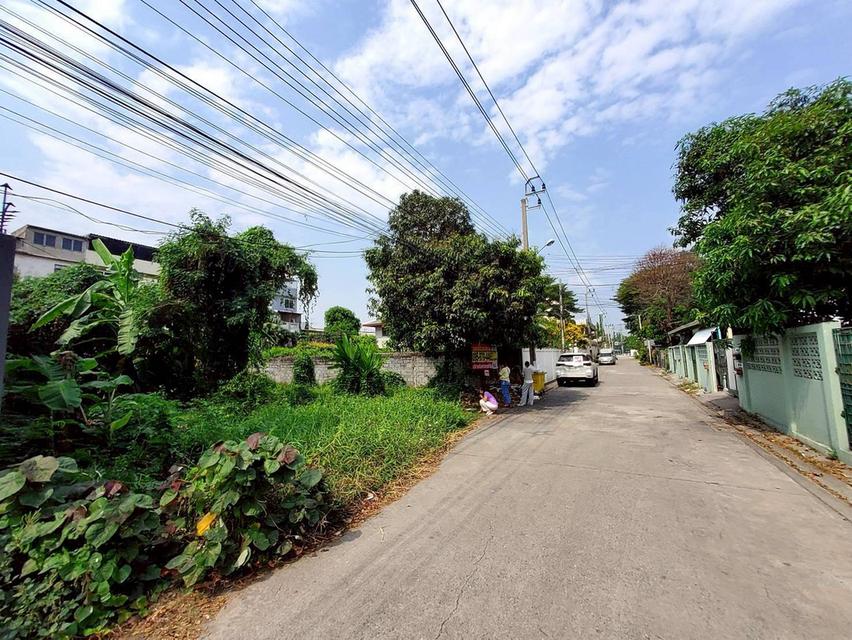 ขายถูกที่ดิน 111 ตรว ติดถนนคอนกรีตสาธารณะ  ถมแล้ว ซ.ติวานนท์-ปากเกร็ด 27 อ.ปากเกร็ด จ.นนทบุรี 3