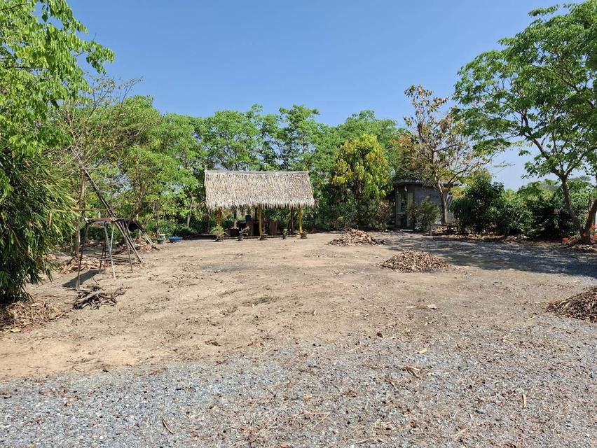ขายที่ดิน 1 ไร่ จ.สุพรรณบุรี อ. เดิมบางนางบวช ที่ถมแล้วพร้อมเข้าอยู่ได้เลย 4