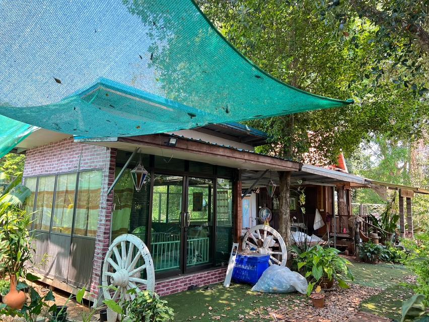 บ้านพร้อมที่ดิน พร้อมธุรกิจน้ำดื่ม 6