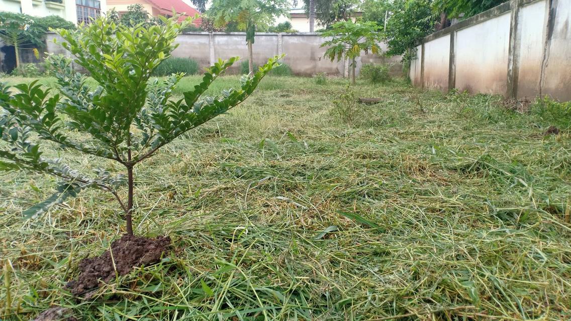 ที่ดินเปล่าในโครงการหมู่บ้าน ซอยท่าอิฐ จังหวัดนนทบุรี 4