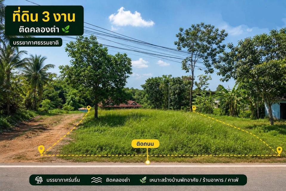 ที่ดิน หน้าติดถนน หลังติดคลอง 3 งาน ทุ่งตำเสา สงขลา 1