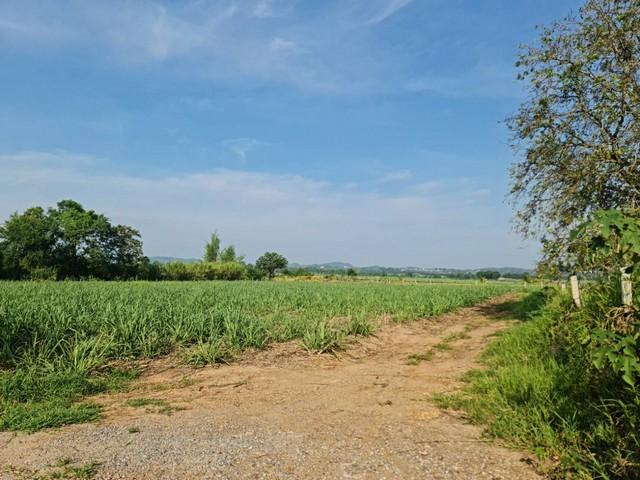 เล็งทรัพย์ดีเก็งเก็บอนาคต ที่ปากช่อง 2ไร่- 8ไร่ โฉนด ต.วังไทร อ.ปากช่อง จ.นครราชสีมา ไร่ละ 2.9 ลบ.สูงจากระดับน้ำทะเลมาก 7