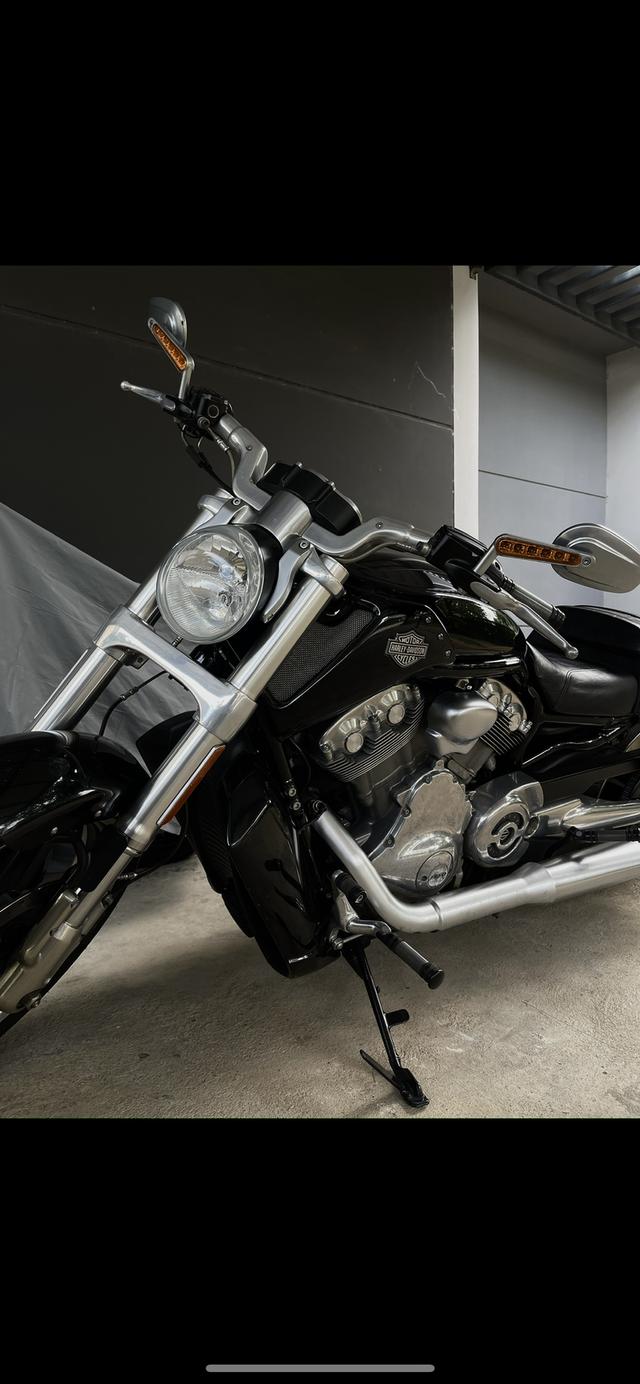 Harley Davidson VRod muscle 2012