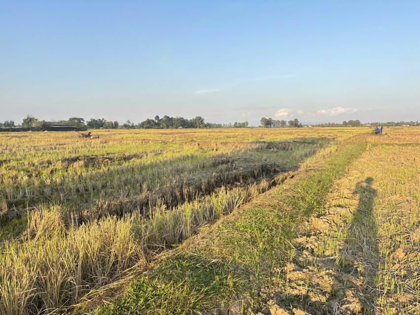 🔥 ขายที่สวยเกือบ 4 ไร่! ต.จันจว้า อ.แม่จัน เชียงราย 📍ที่ดินทำเลทอง ราคาจับต้องได้! ขายที่ดินสวย ใกล้แหล่งชุมชน เดินทางสะดวก น้ำไฟเข้าถึงครบ 1