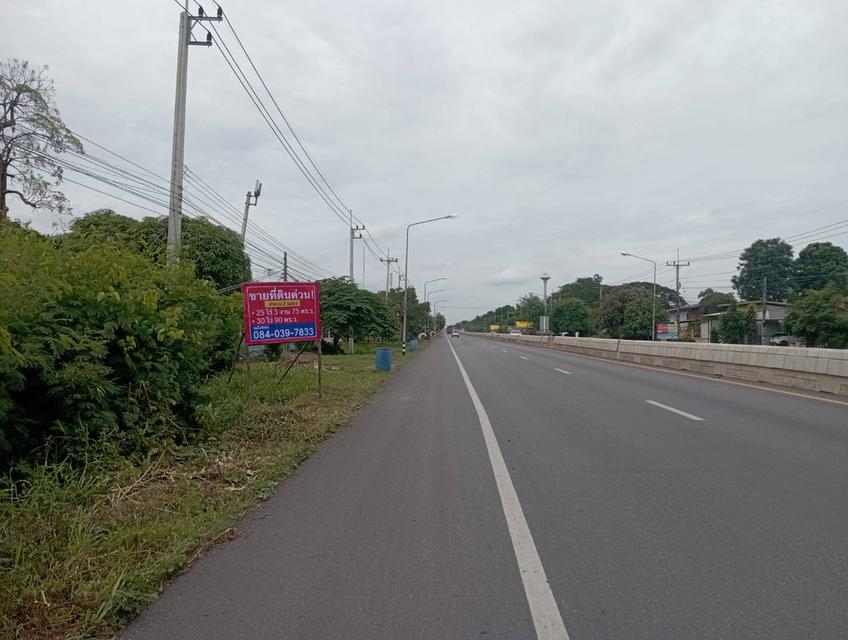 ขายที่ดิน 2 แปลง ด่วน!! 25 ไร่ 3 งาน 75 ตร.ว. และ 30 ไร่ 90 ตร.ว 4