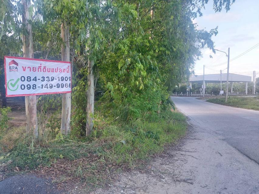 ขายที่ดินเปล่า 11 ไร่เศษ ริมถนนคีรีนครซอย 8 เมืองชลบุรี 7