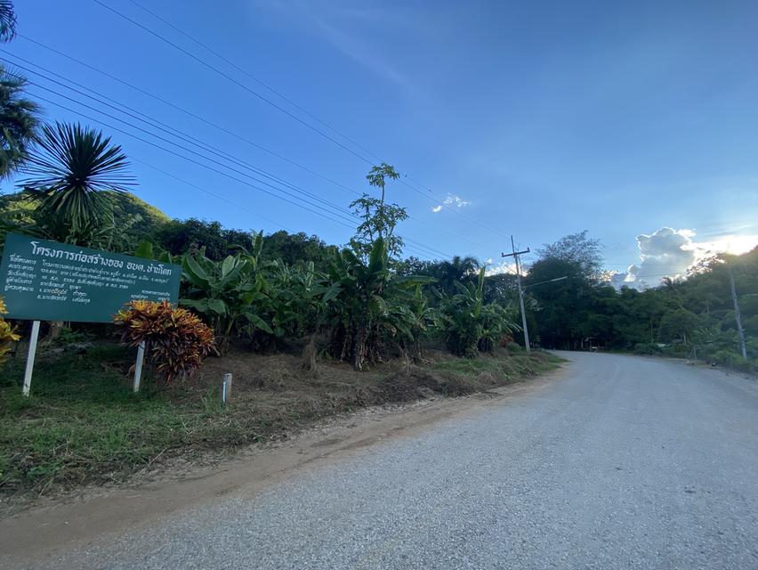 ขายที่ดินสวยสี่เหลี่ยมจัตุรัส มีโฉนด ติดถนนดำ ไฟฟ้า น้ำปะปา มีครบ วิวด้านหน้าเป็นภูเขา สามารถทำบ้านตากอากาศได้ดีใกล้กับวัดบุญน้ำทิพย์ บ้านพี้ ต.บ้านโต 2