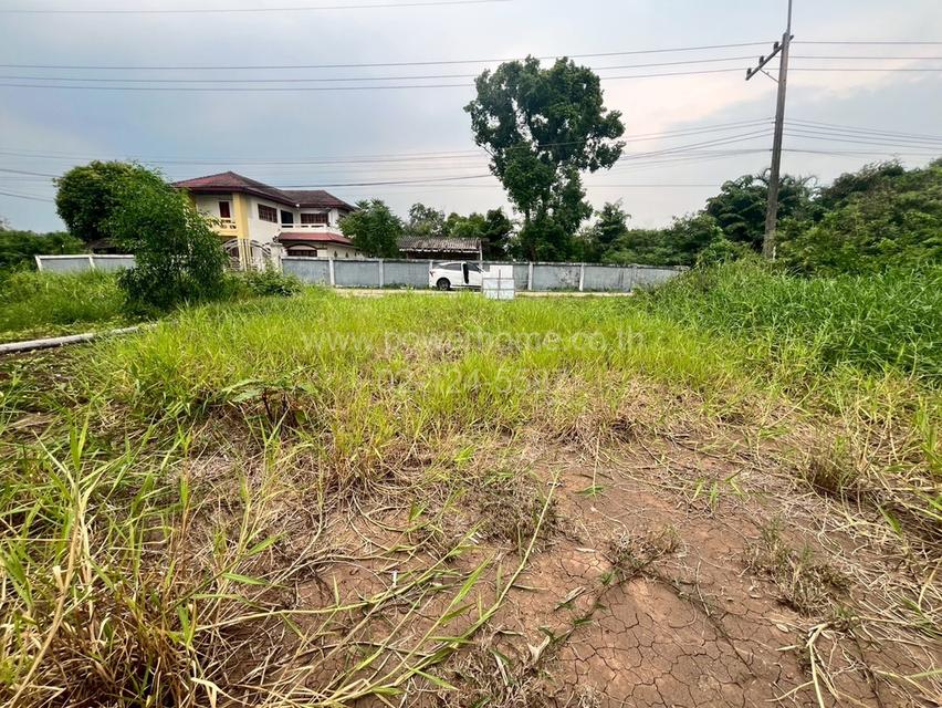 ที่ดินเปล่าถมแล้ว ซอยไอยรา ใกล้สํานักงานเทศบาลเมืองสนั่นรักษ์ ถนนรังสิต – นครนายก ต.หนองสามวัง อ.หนองเสือ จ.ปทุมธานี 6