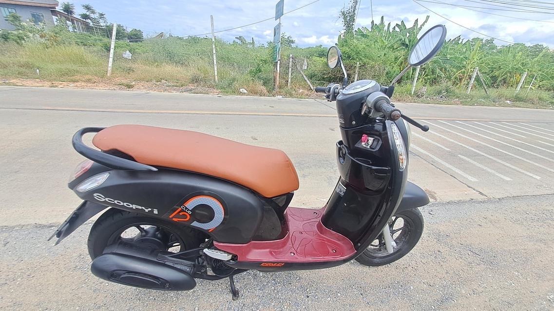 Scoopyi club12