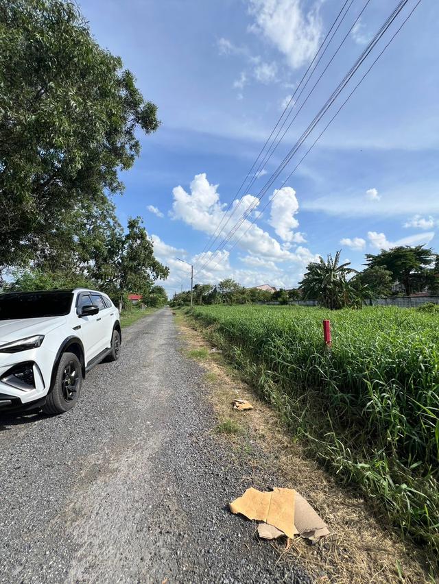 ที่ดินทำเลทองแปลงกะทัดรัด คลอง 2 ธัญบุรี (ซ.รังสิต-นครนายก 25) 6