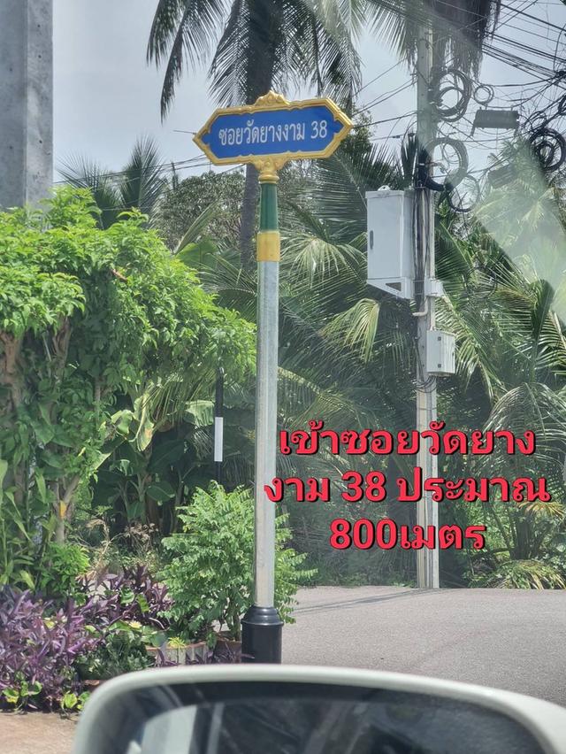 ที่ดินสวนมะพร้าว 35 ไร่ ต.วัดเพลง อ.อัมพวา