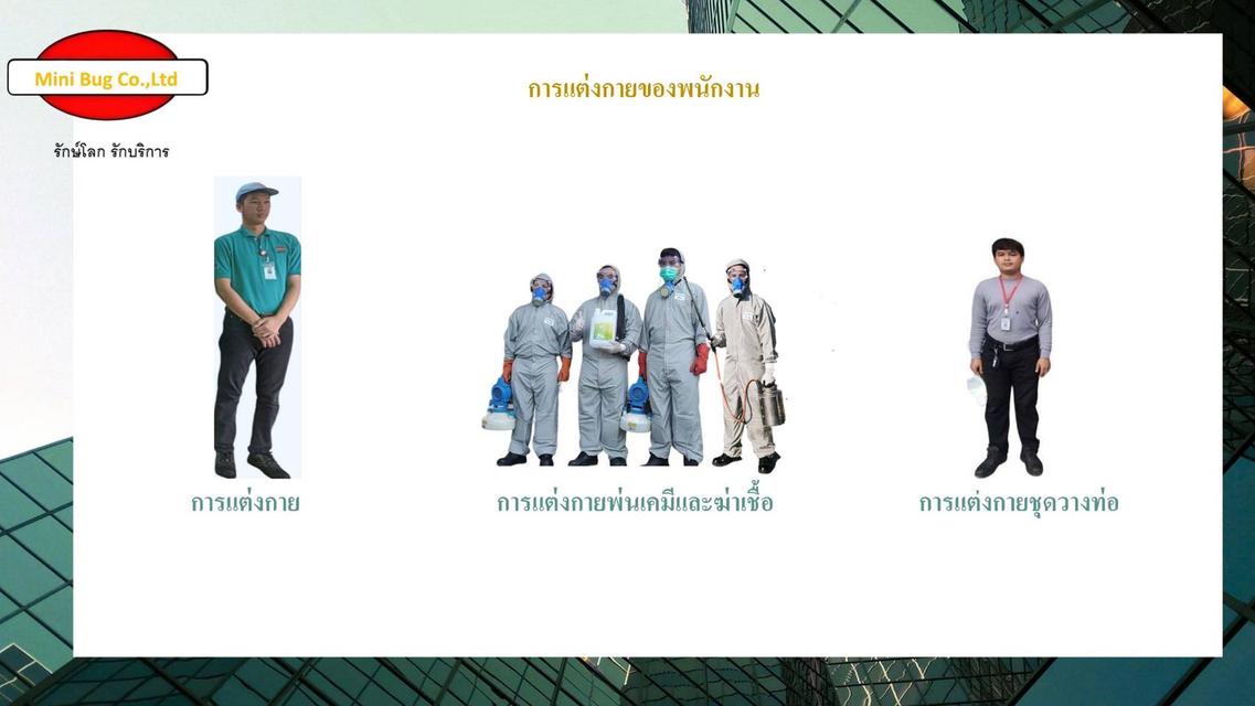 บริการป้องกันจำกัดปลวก มด หนู แมลงสาบอเมริกัน แมลงสาบเยอรมัน  ตัวเรือด ยุง แมลงวัน  Pest control รูปที่ 3