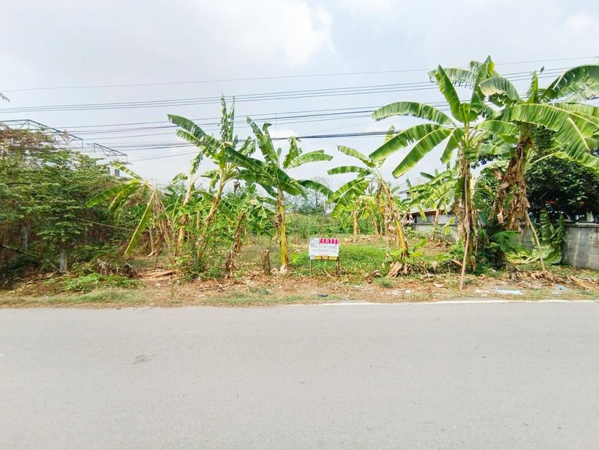ขายที่ดิน 120 ตรว.ถมแล้ว ซอยคลองสาม 6/5 (ซอยทรัพย์สำราญ)
