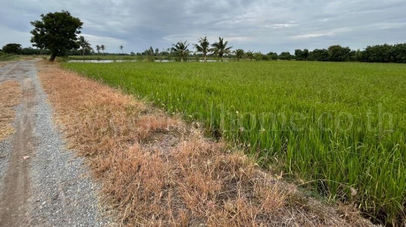 ที่ดิน 9-3-99.5 ไร่ ดอนโพธิ์ - สุพรรณบุรี มีผู้เช่า ทำเลดี 10