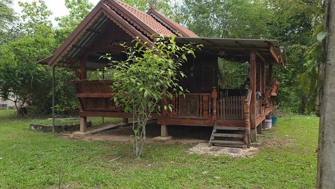 ที่ดินและบ้านพักสวนผึ้ง ติดถนน ติดห้วยน้ำตกเก้าชั้น บรรยากาศท่ามกลางหุบเขา 19