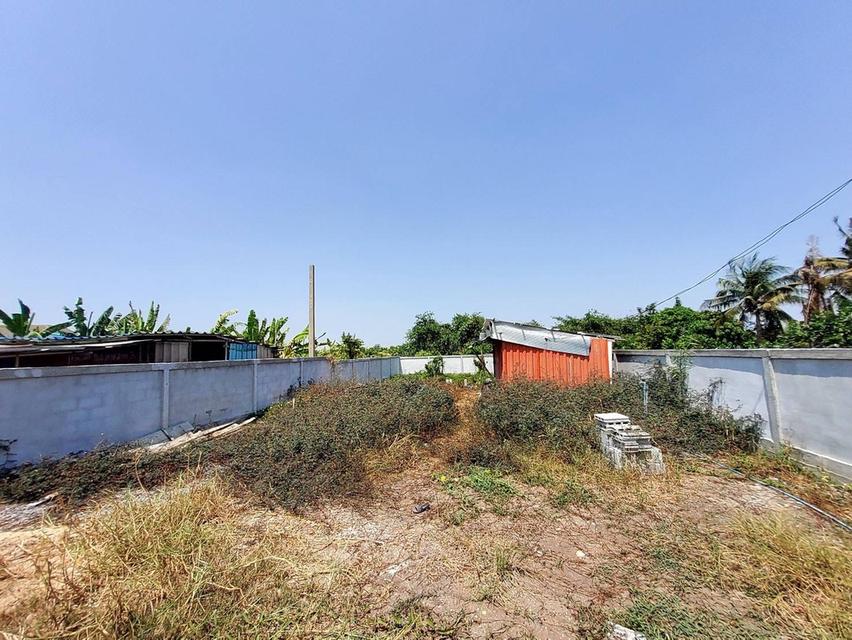 ขายด่วนที่ดินคลองโต๊ะใหม่ 100 ตรว ล้อมรั้วและทำกำแพงไว้แล้ว อ.บางบัวทอง จ.นนทบุรี 4