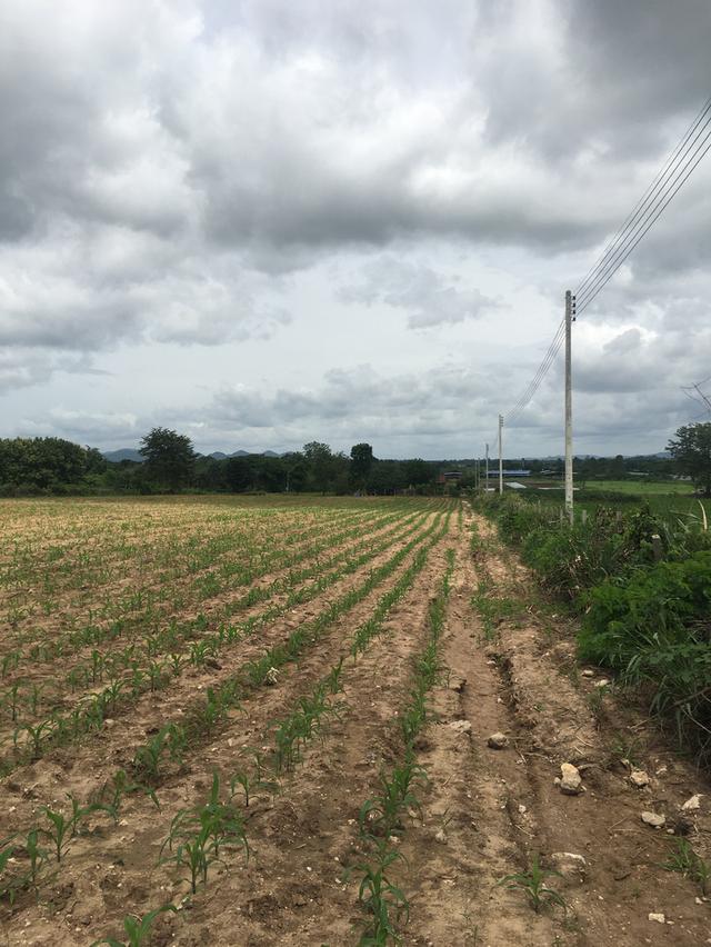 ขายที่ดินโฉนดเขาใหญ่ 7 ไร่ วิวสวย ทำเลศักยภาพสูง ใกล้ถนนหลวงหมายเลข 2235 และใกล้แหล่งท่องเที่ยว 1