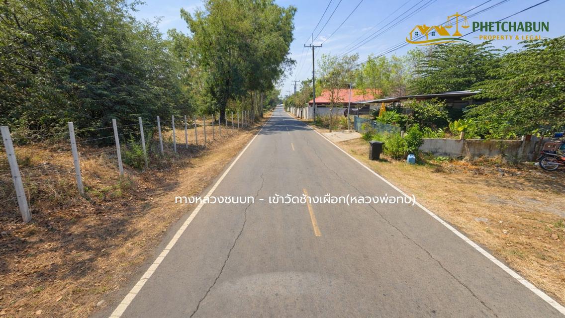 ที่ดินเงิน125 ตารางวา ติด อบต.วังชมภู อ.เมือง จ.เพชรบูรณ์ 6