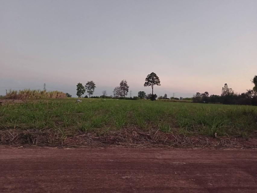 ที่ดิน 5ไร่ 1งาน ราคาไร่ละ2แสนบาท 2