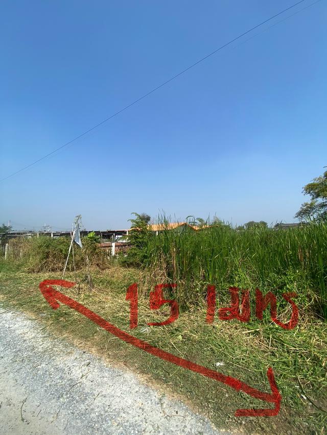 ที่ดินในอำเเมืองนครปฐม 11