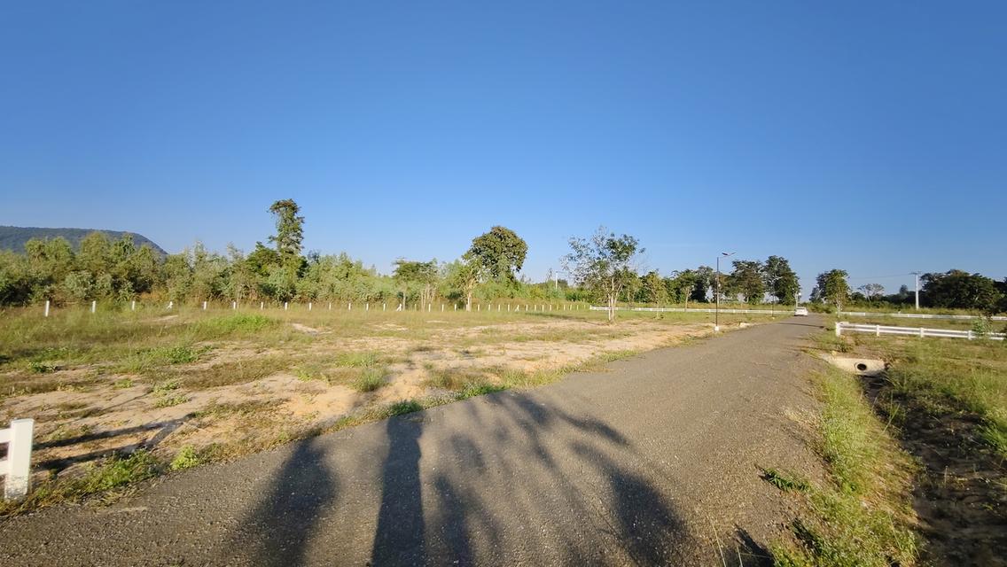 ที่ดิน " วิวภูเขา " อากาศดี ใกล้วังน้ำเขียว ใกล้ทางหลวง 304 วิวภูเขาลอมรอบ ภูหลวง ปักธงชัย นครราชสีมา มีให้เป็นเจ้าของอีก 5 แปลง เท่านั้น 14