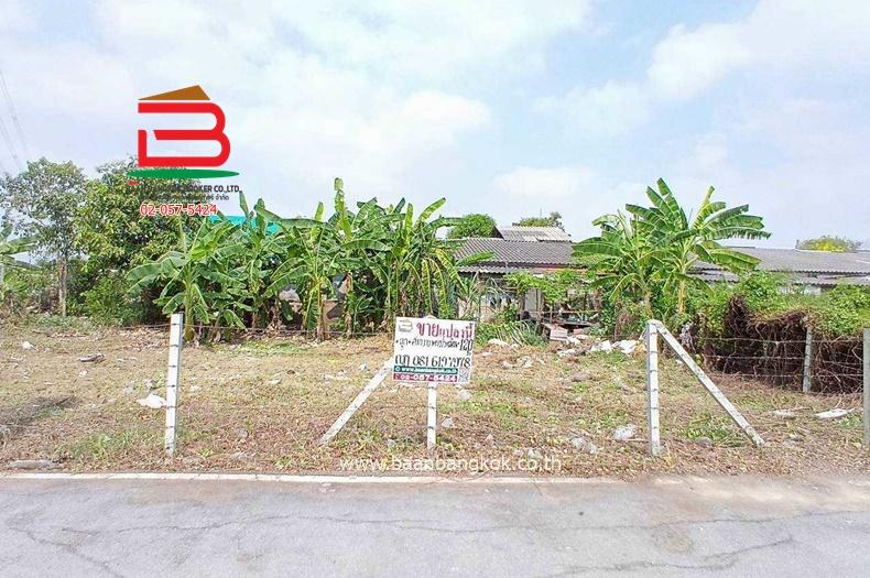 ขาย/เช่า ที่ดินถมแล้ว หมู่บ้านฉัตรหลวง เนื้อที่ 120 ตรว. ถนนกาญจนาภิเษก อ.ไทรน้อย จ.นนทบุรี 1
