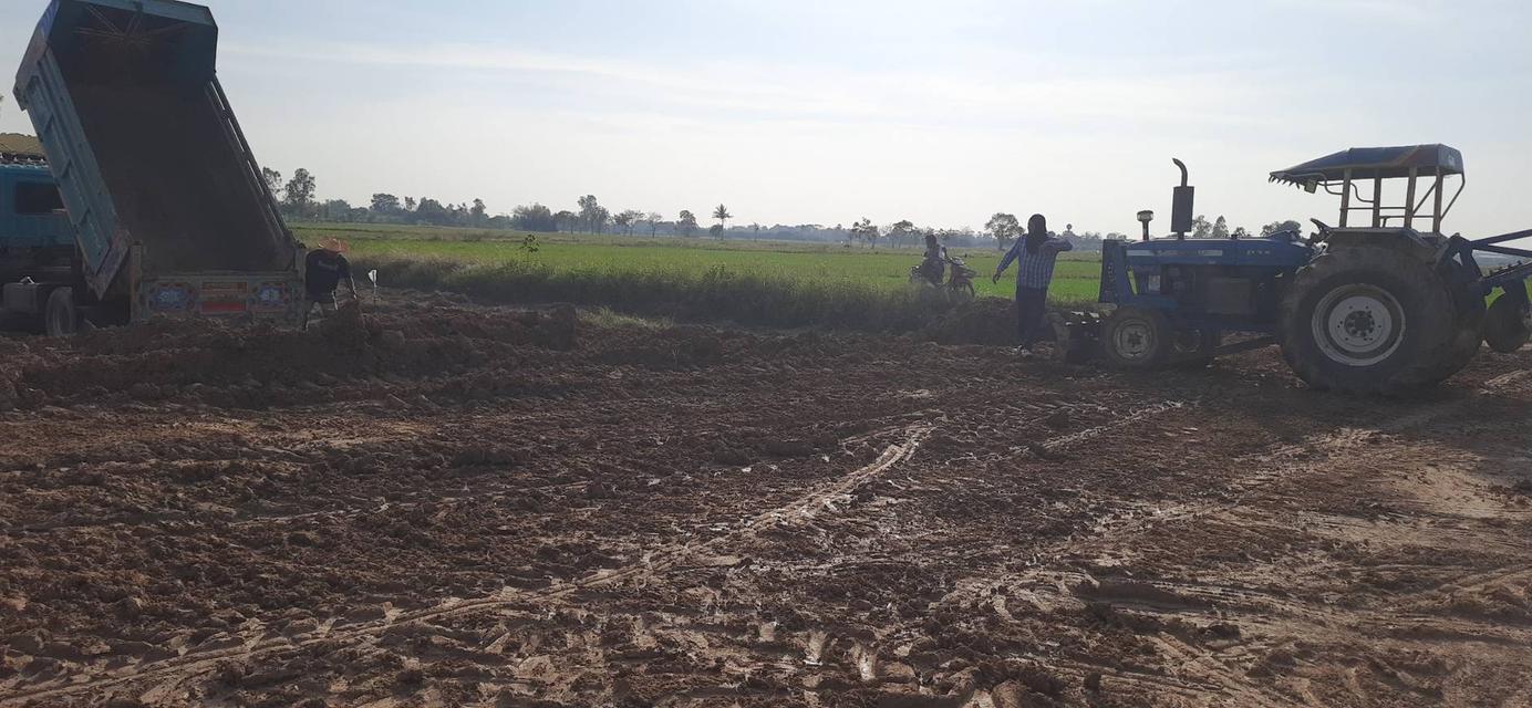 ขายที่ดินแปลงเล็กถมเเล้ว ผ่อนได้ ต. หนองผักนาก อ.สามชุก จ.สุพรรณบุรี 5